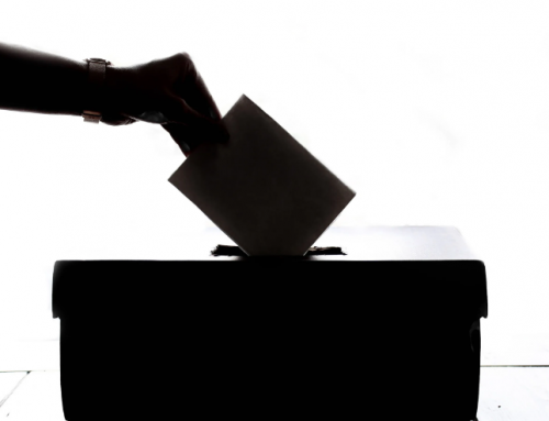 Divulgação n.º64/2023 – Eleições: Listas admitidas e instruções de voto