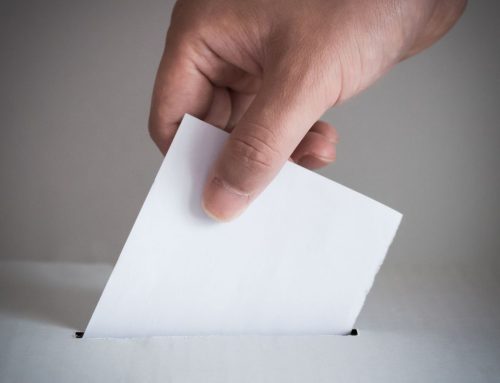 Divulgação n.º64/2023 – Eleições: Listas admitidas e instruções de voto